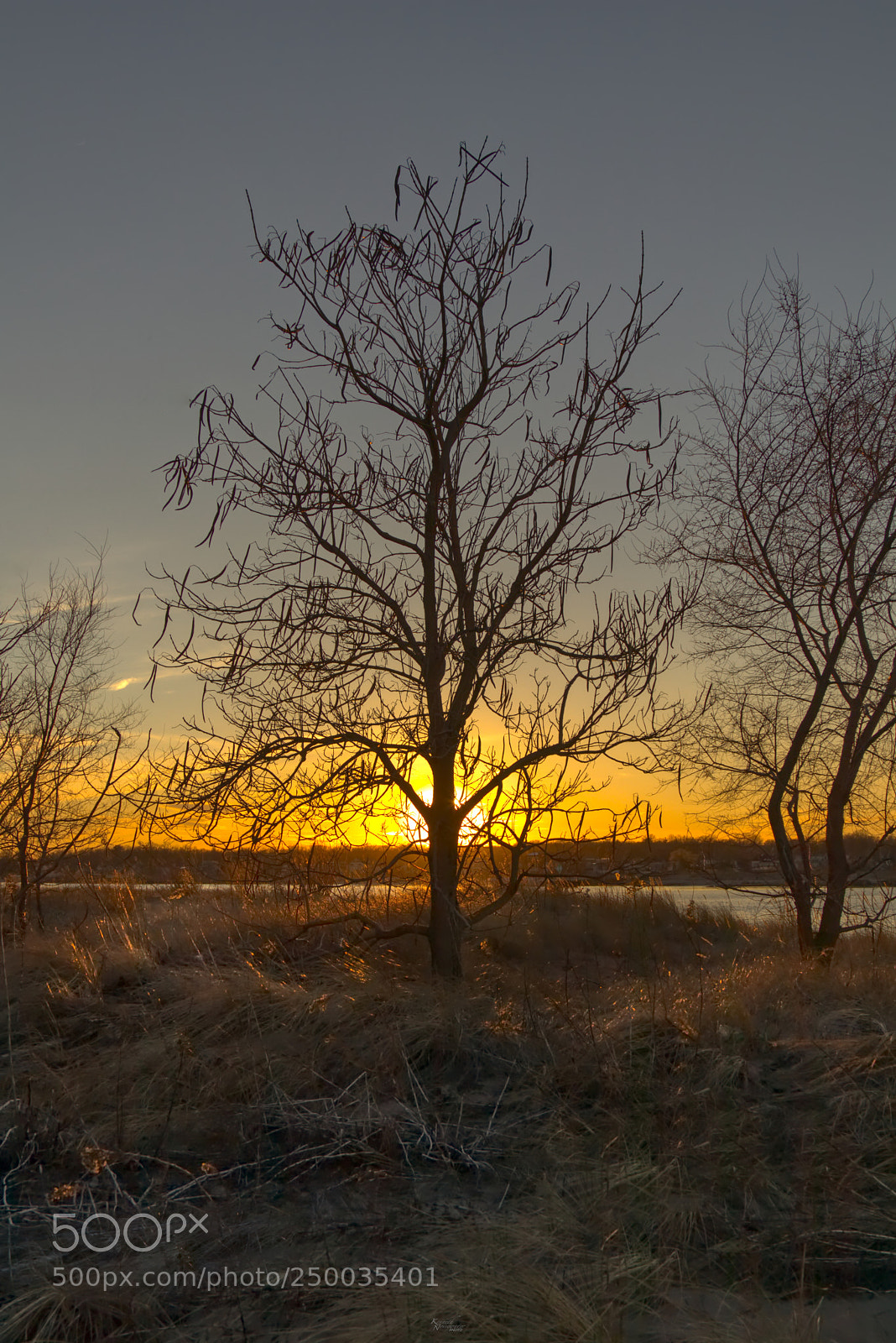 Canon EOS M5 sample photo. Sun set behind a photography