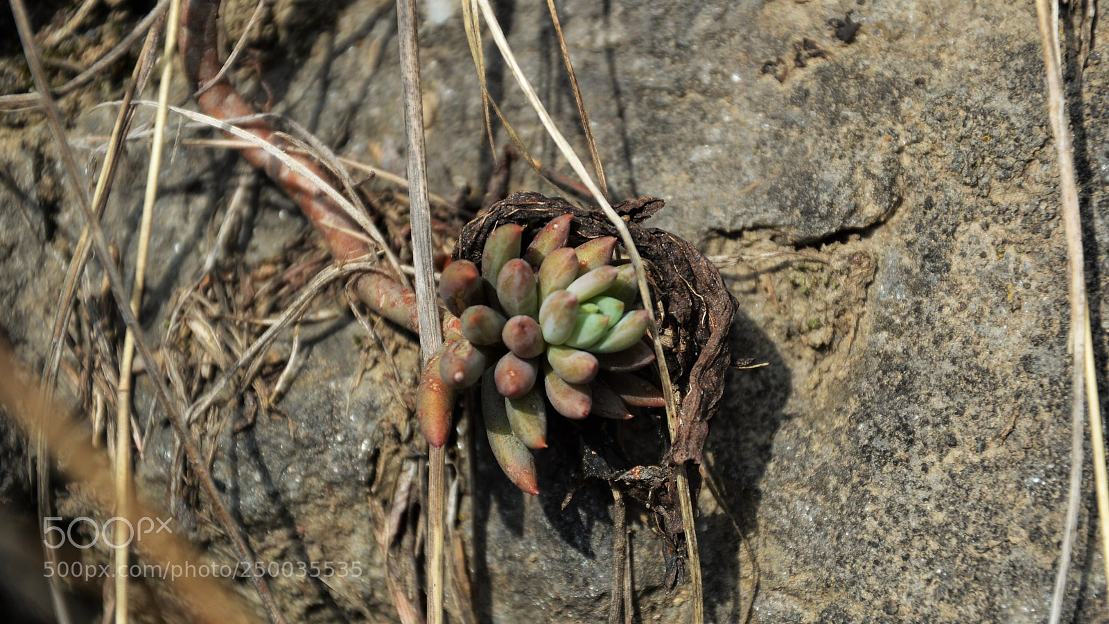 Nikon D3200 sample photo. Untitled photography