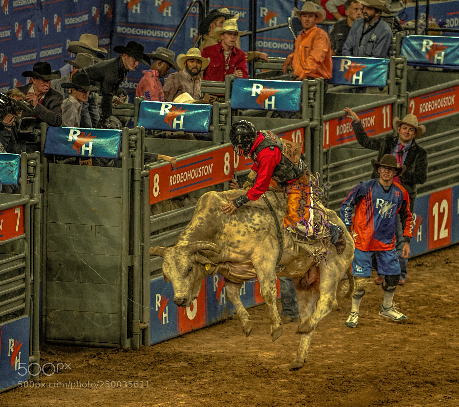 Sony a7R II sample photo. Rodeo houston photography