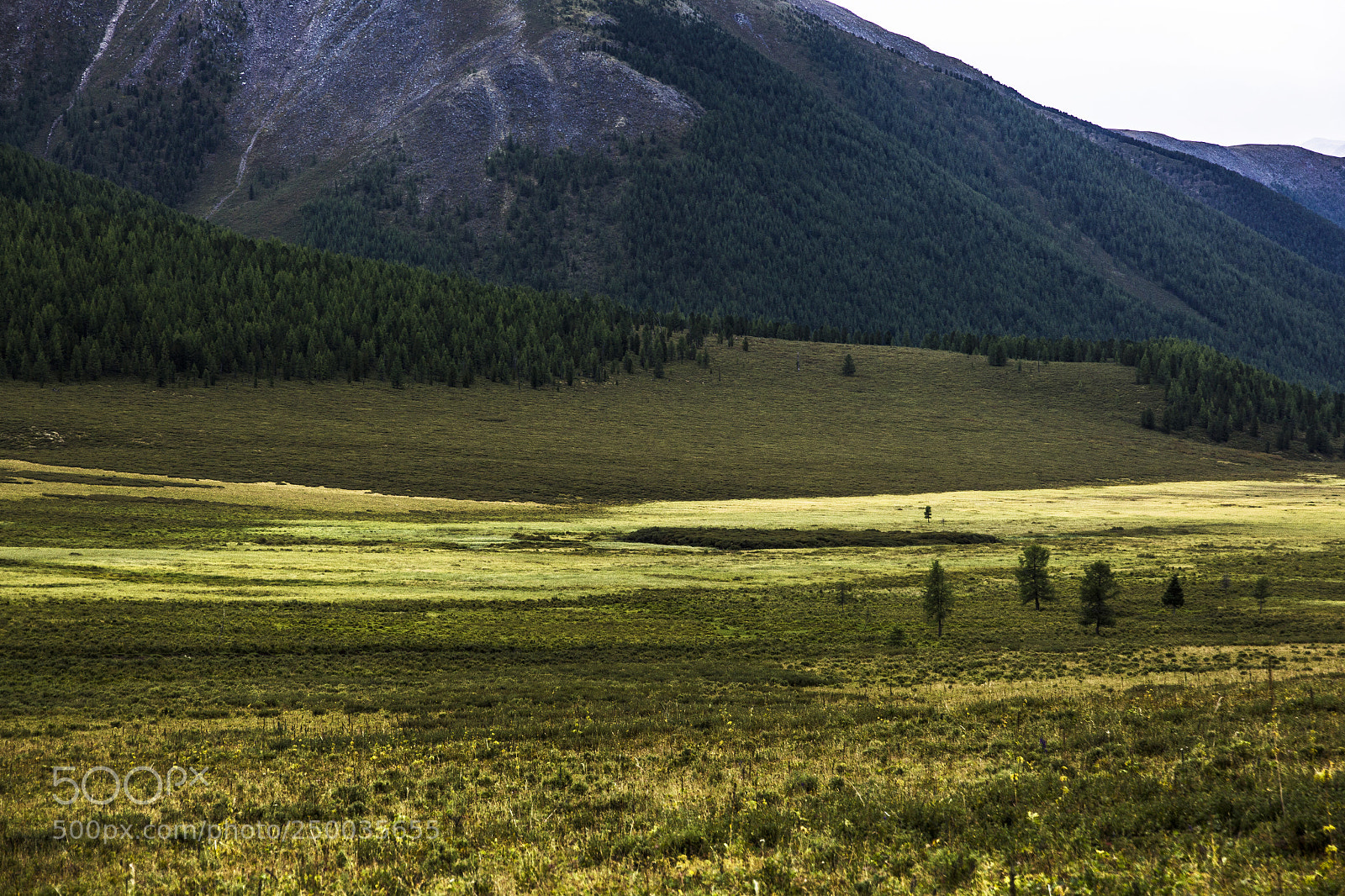 Canon EOS 60D sample photo. Altai land photography