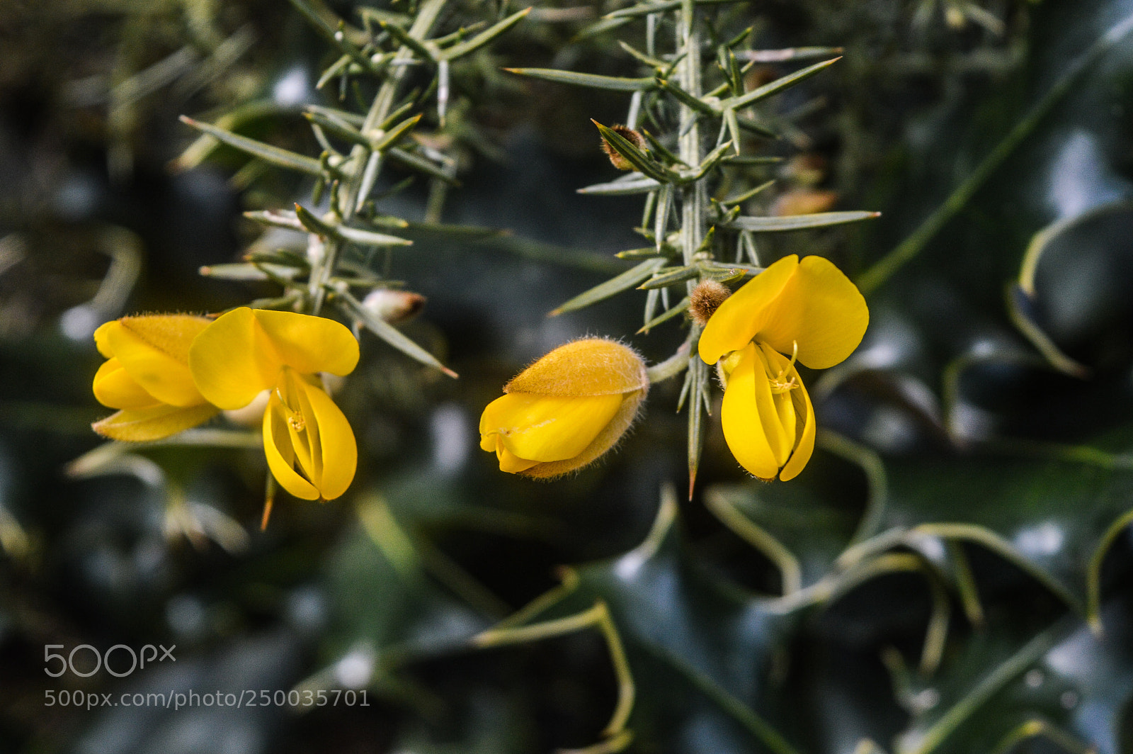 Nikon D3200 sample photo. Untitled photography