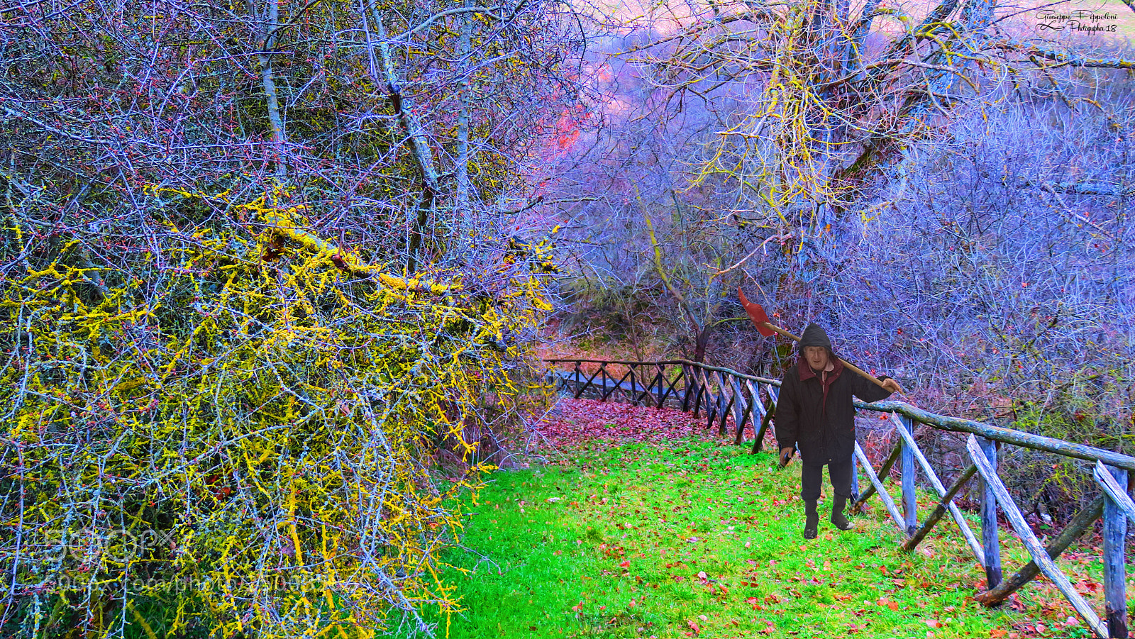 Canon PowerShot G3 X sample photo. Path photography
