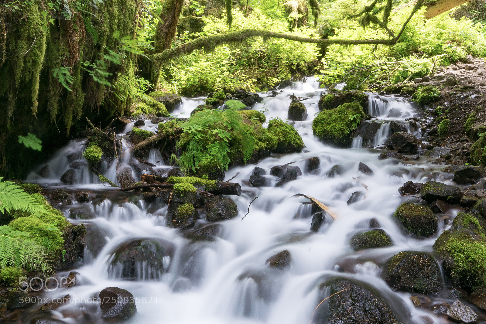 Nikon D3300 sample photo. Columbia river gorge photography