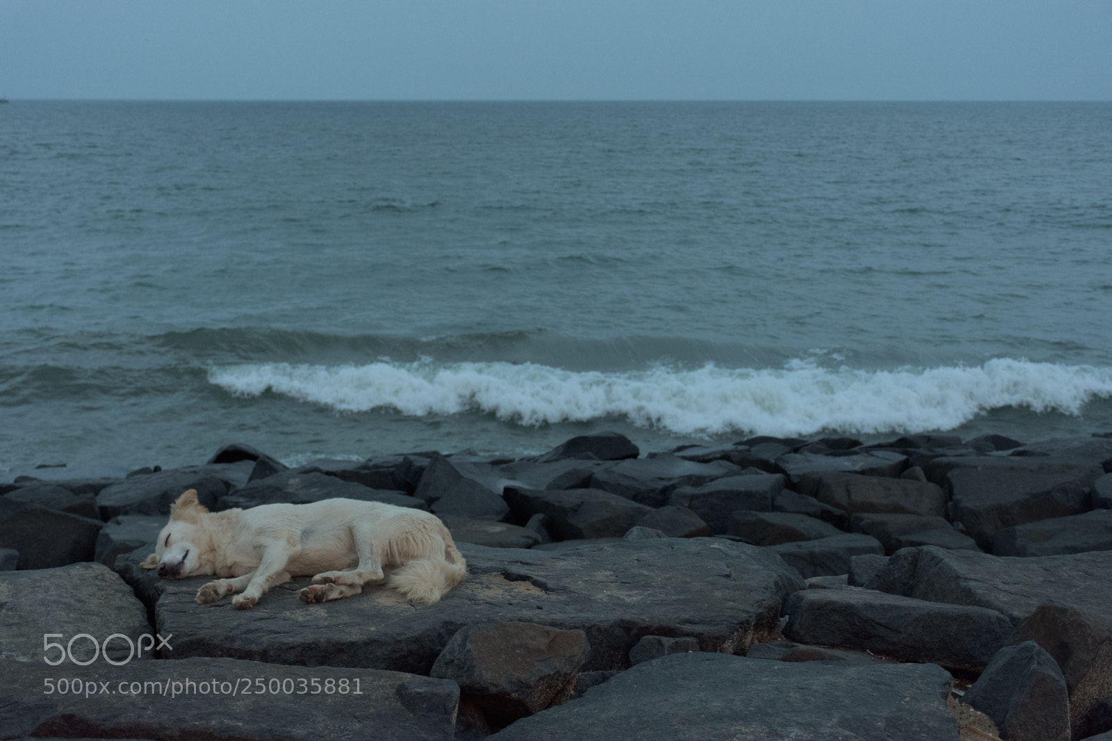 Nikon D7200 sample photo. Sleeping by the sea photography
