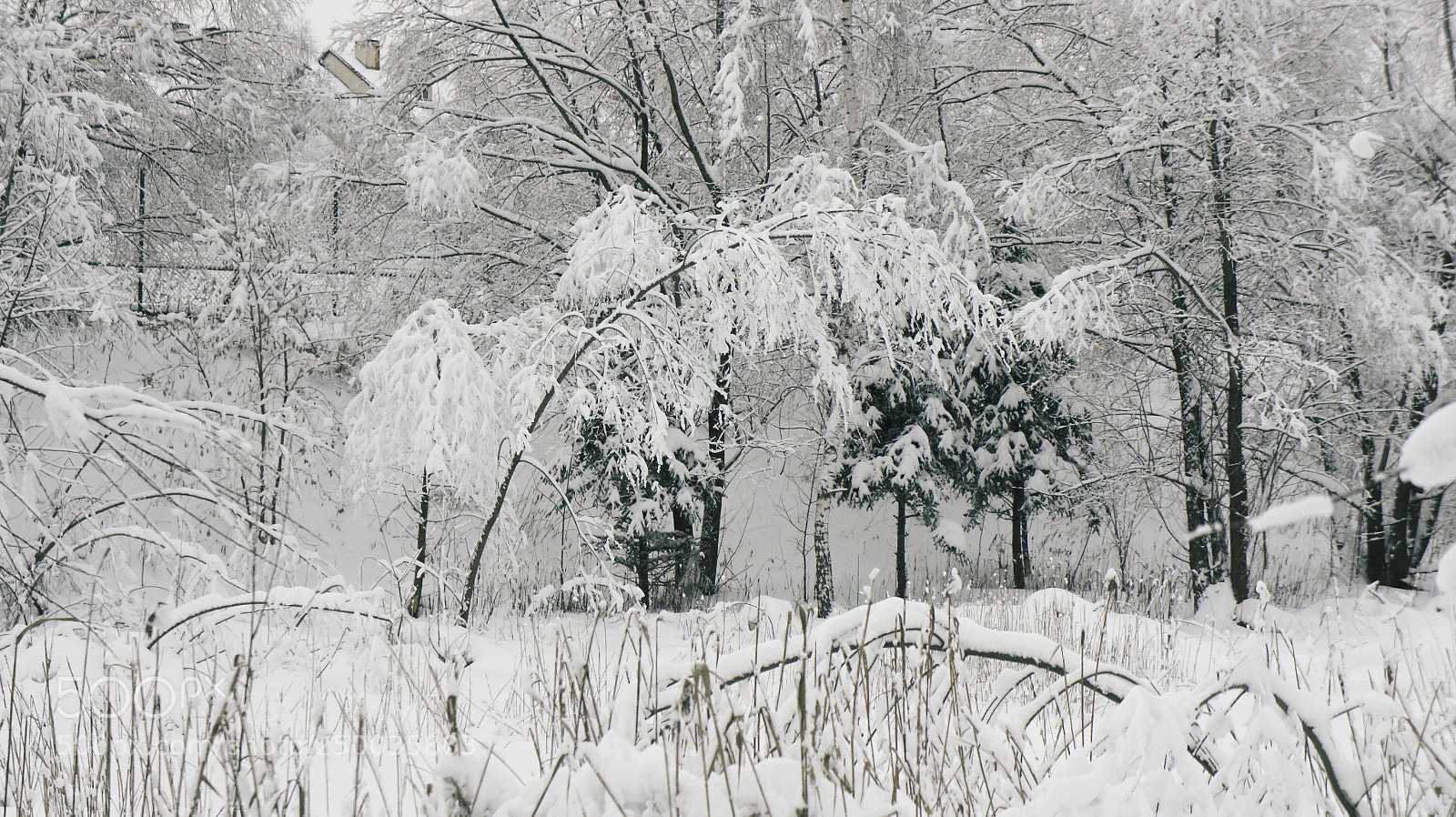 Sony Alpha NEX-5 sample photo. Winter falls photography