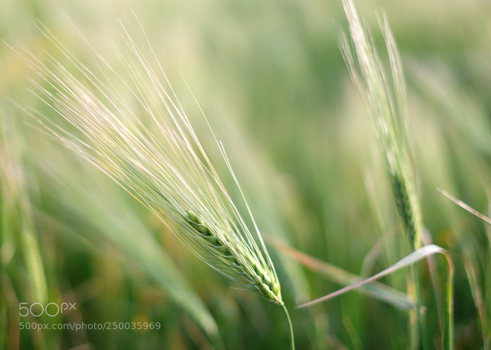 Fujifilm X-T1 sample photo. Do your best photography