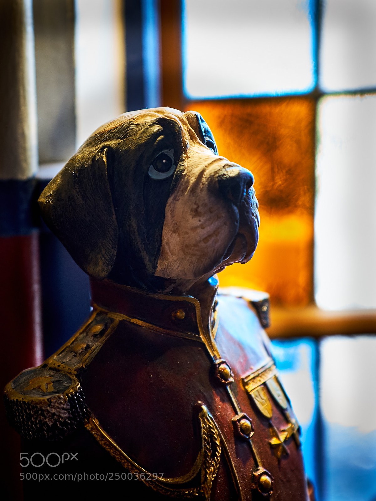 Fujifilm X100F sample photo. The dog. photography