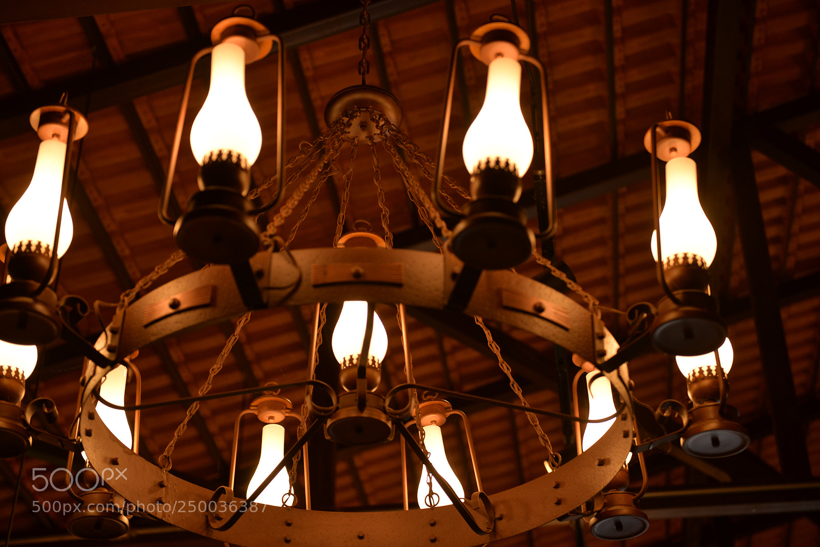 Nikon D610 sample photo. Untitled photography