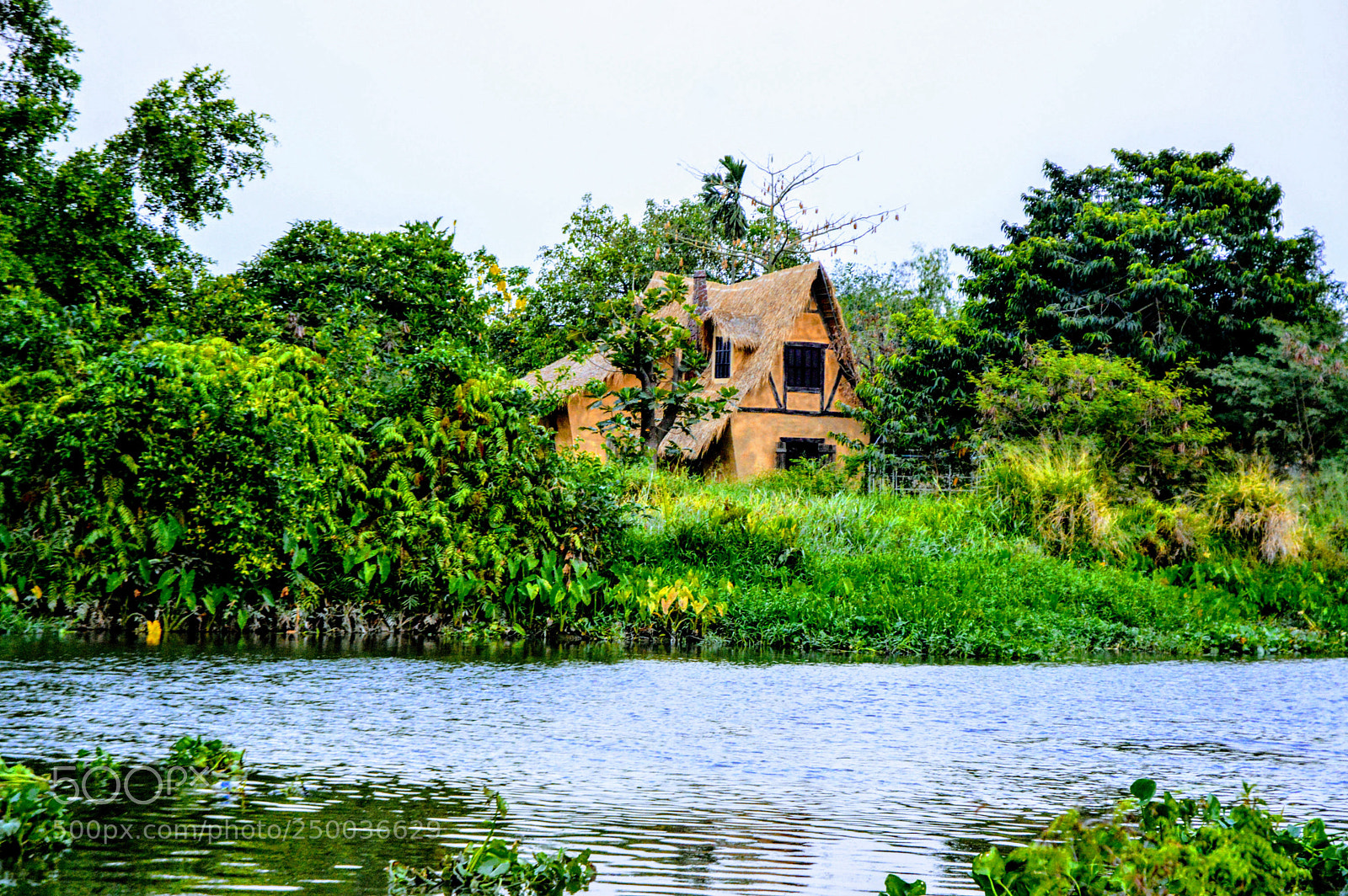 Nikon D3200 sample photo. Untitled photography