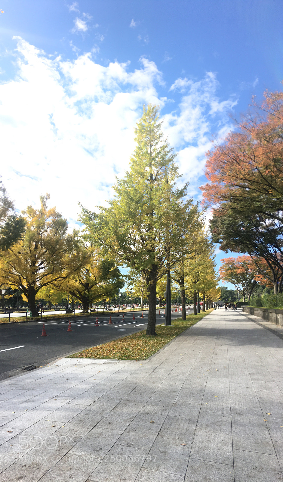 Apple iPhone 6s Plus sample photo. Lined up photography