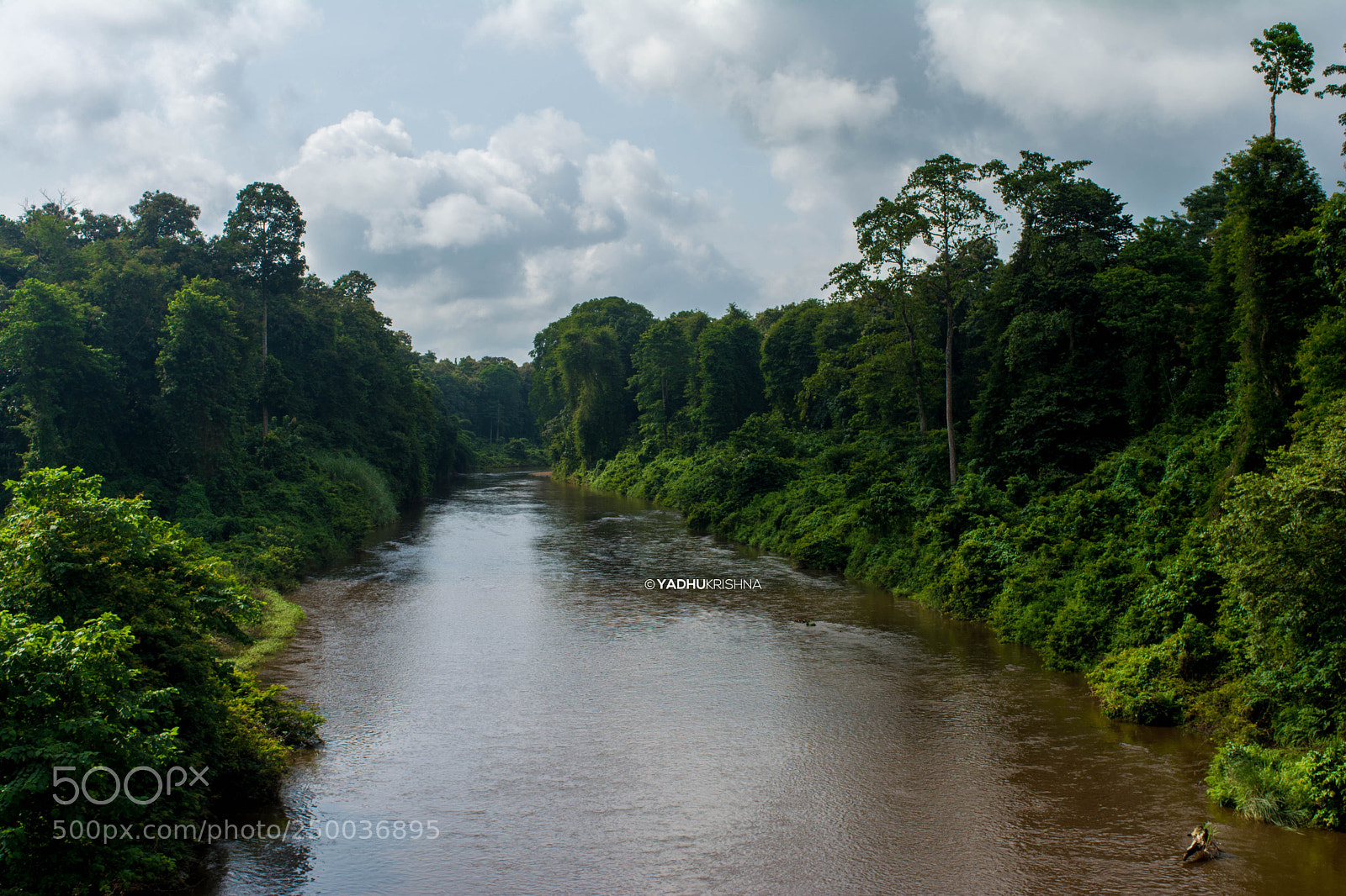 Nikon D5200 sample photo. A natural touch photography