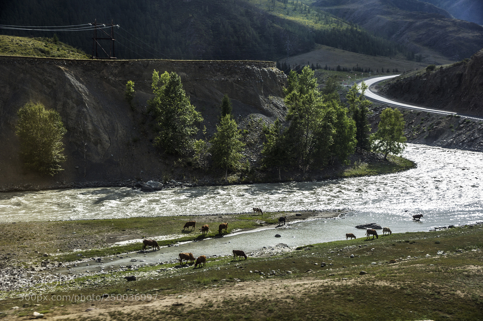 Canon EOS 60D sample photo. River photography