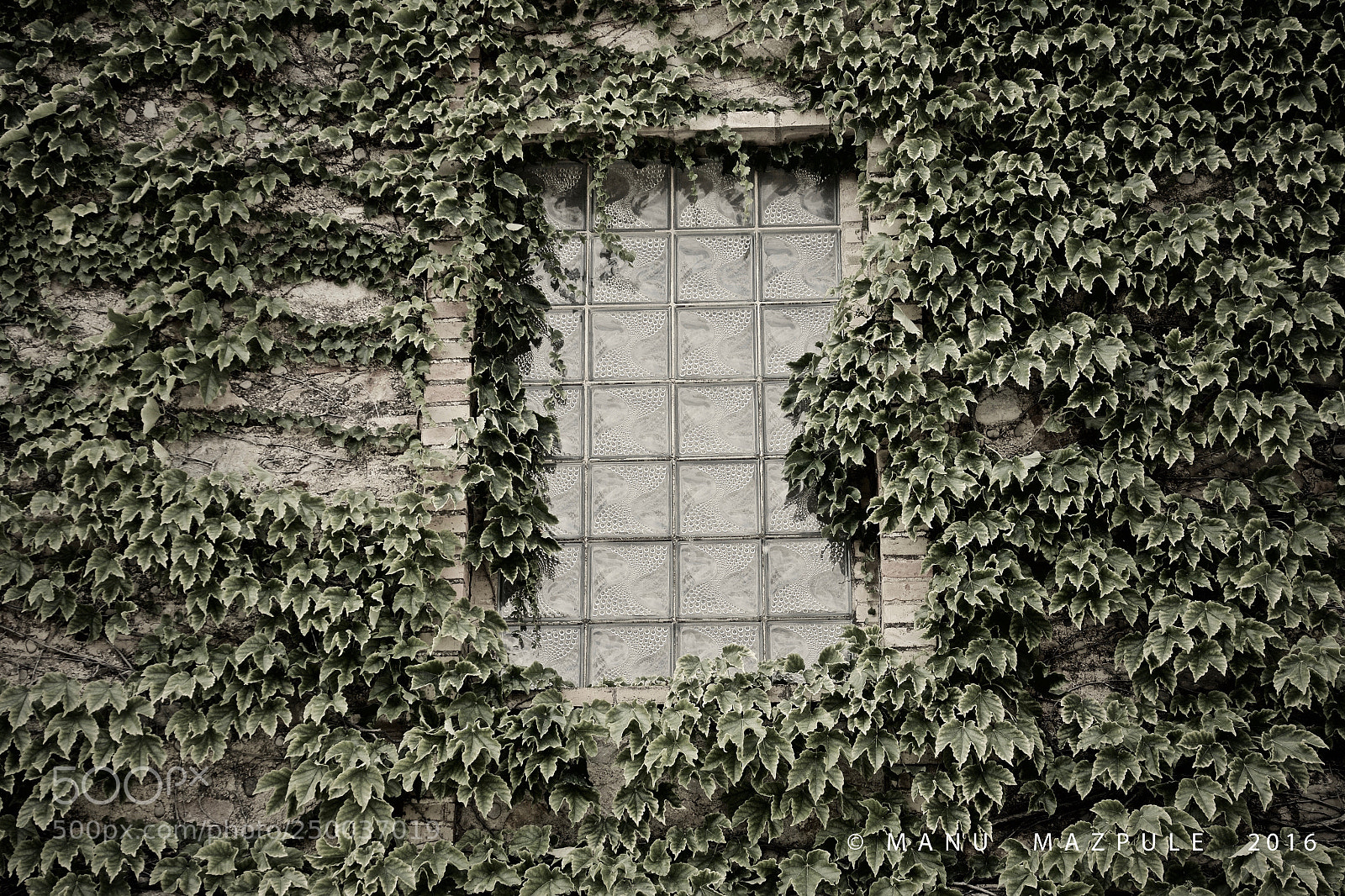 Canon EOS 70D sample photo. 252. girona. catalunya..... photography