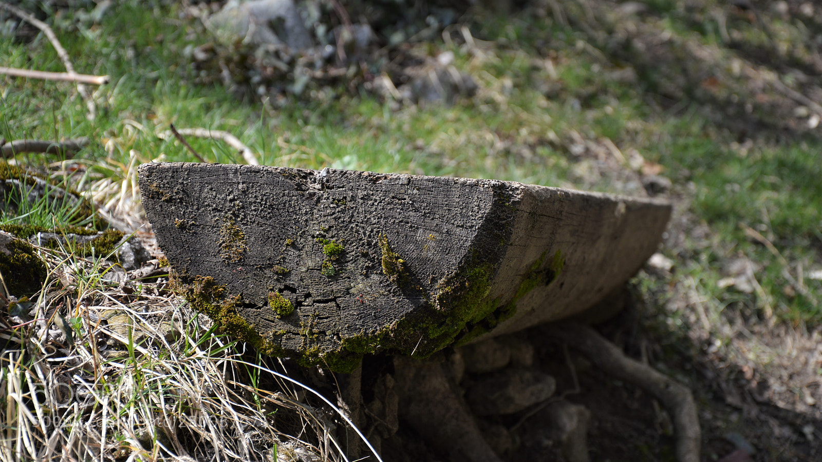 Nikon D3200 sample photo. Untitled photography
