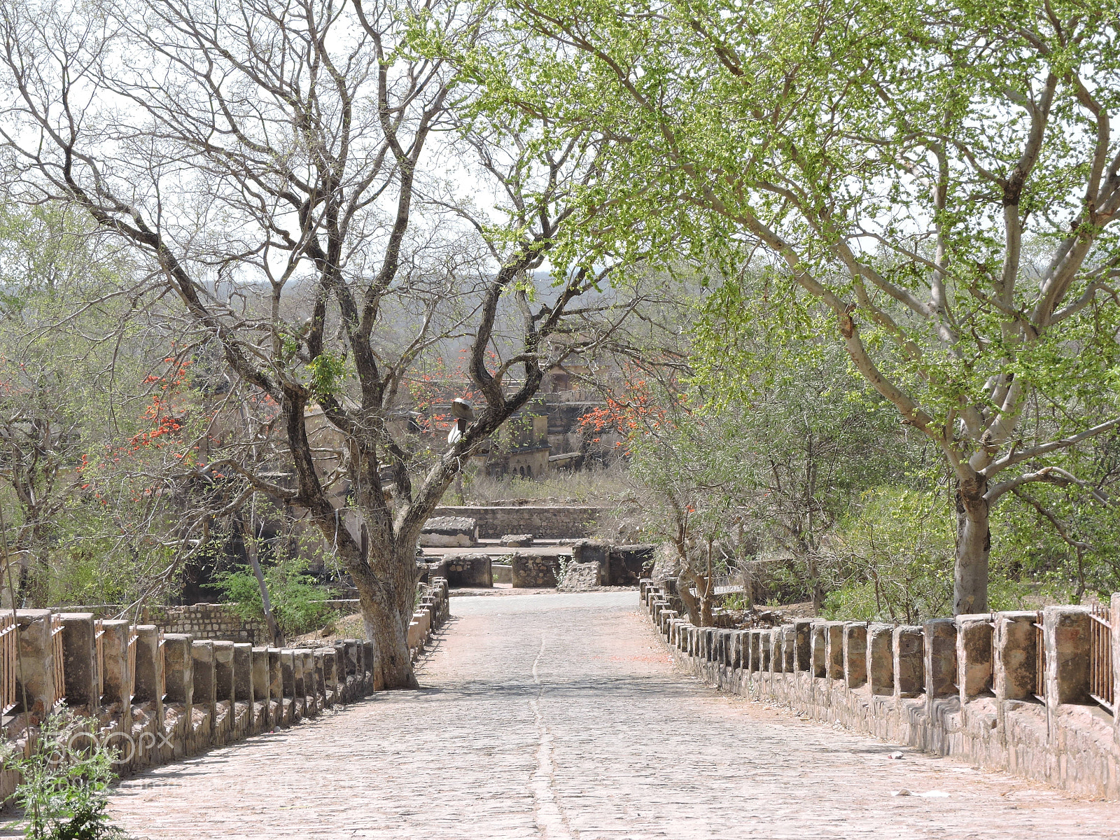Nikon Coolpix P600 sample photo. Different views from orchha photography
