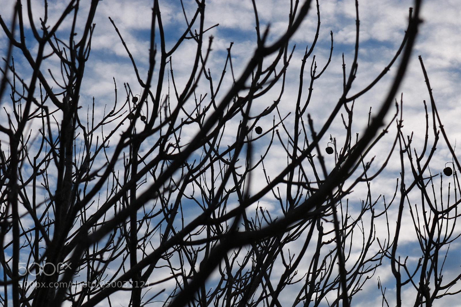 Canon EOS 750D (EOS Rebel T6i / EOS Kiss X8i) sample photo. Many shapes photography