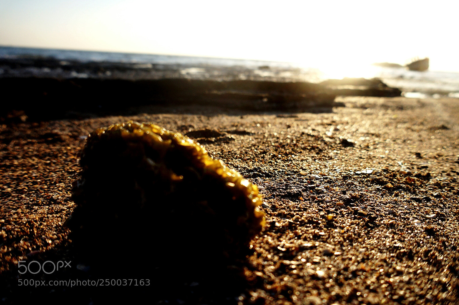 Sony Alpha a3500 sample photo. Untitled photography