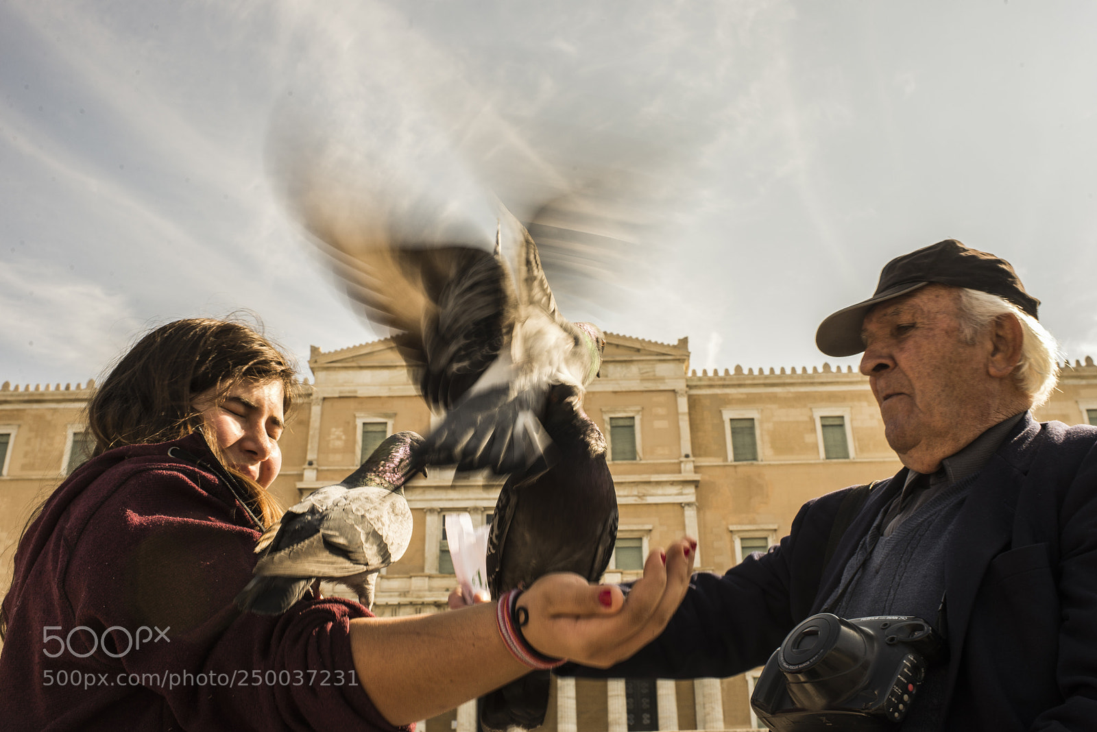Nikon D610 sample photo. Playing with pigeons at photography