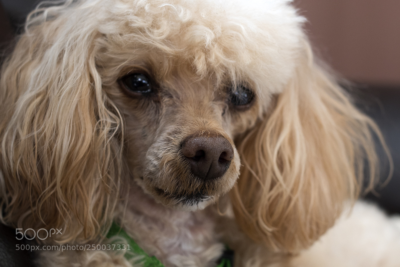Nikon D810 sample photo. I know, i have photography