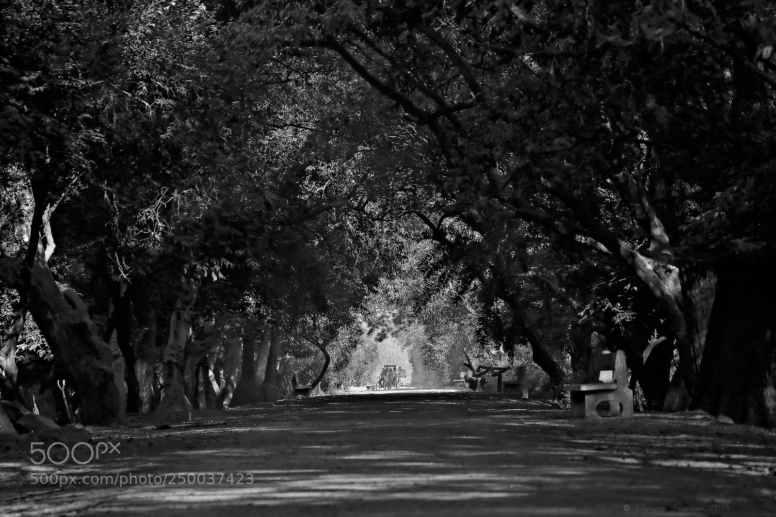 Canon EOS 80D sample photo. ... photography
