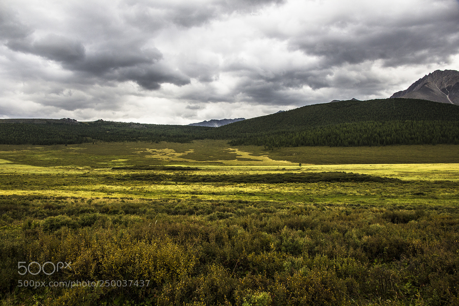 Canon EOS 60D sample photo. Field in mountain valley photography