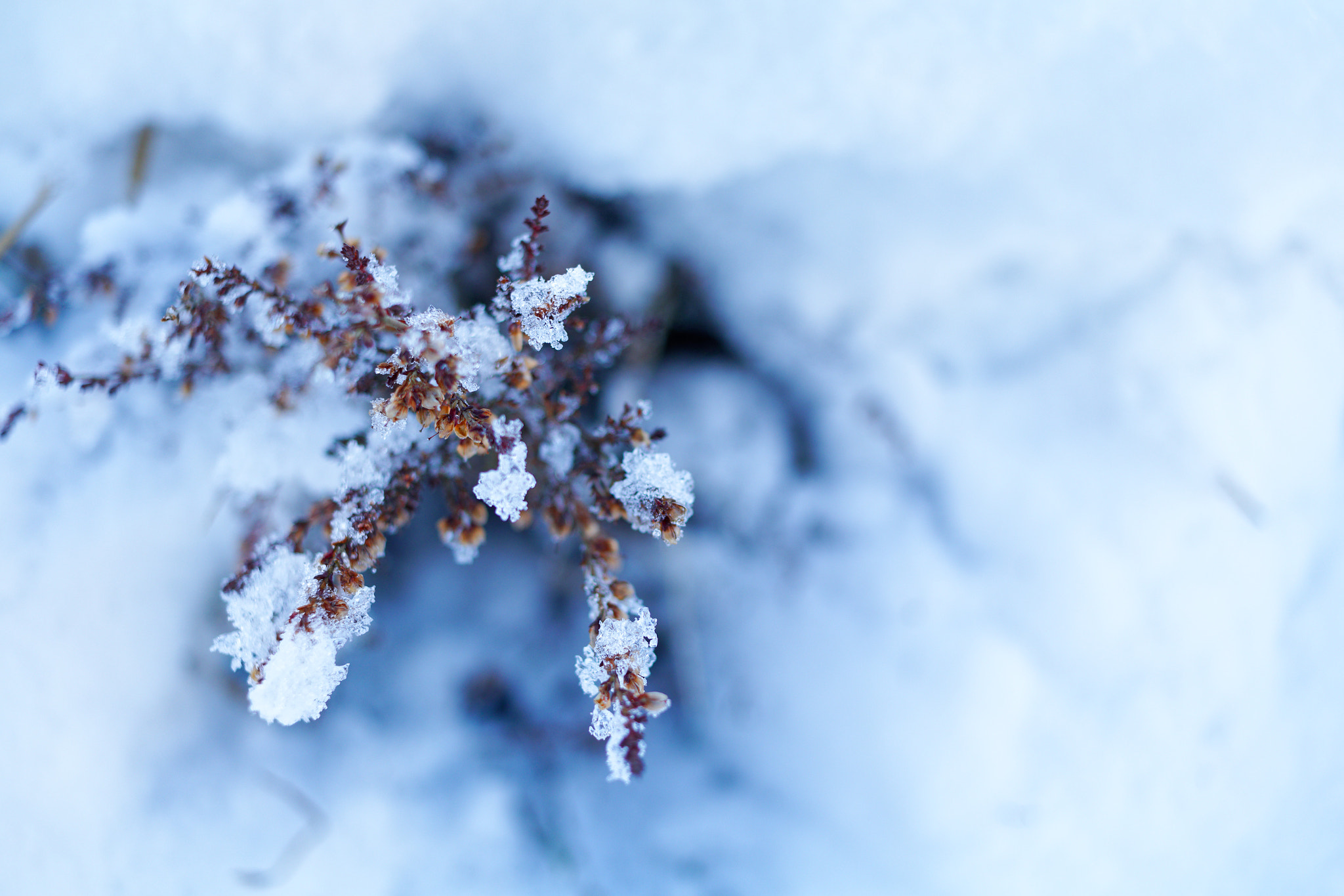 Canon EF-S 24mm F2.8 STM sample photo. Erica photography