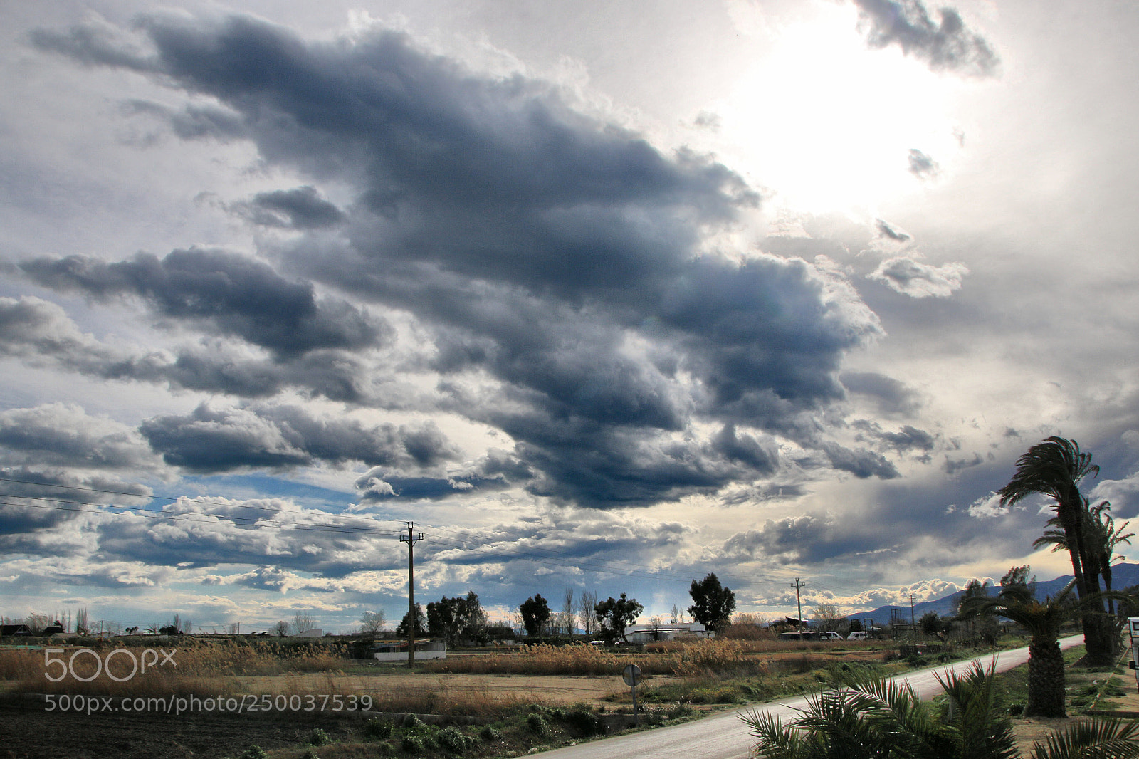 Canon EOS 70D sample photo. Untitled photography