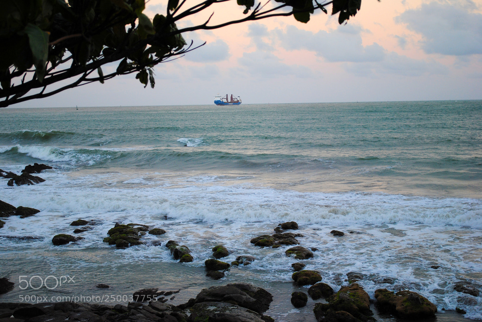 Nikon D3000 sample photo. Alone on the ocean photography