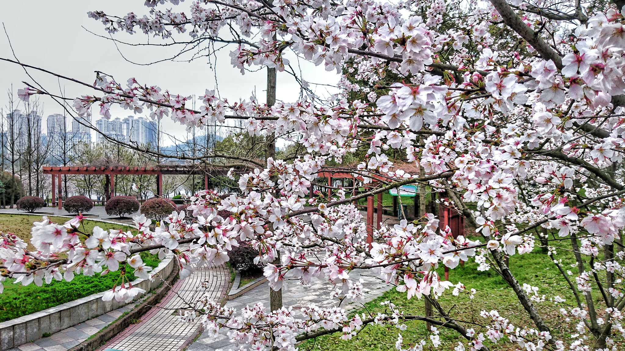 Sony Xperia Z3+ sample photo