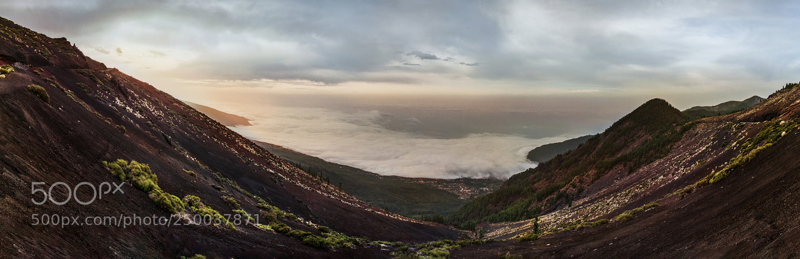Nikon D800 sample photo. Tenerife photography