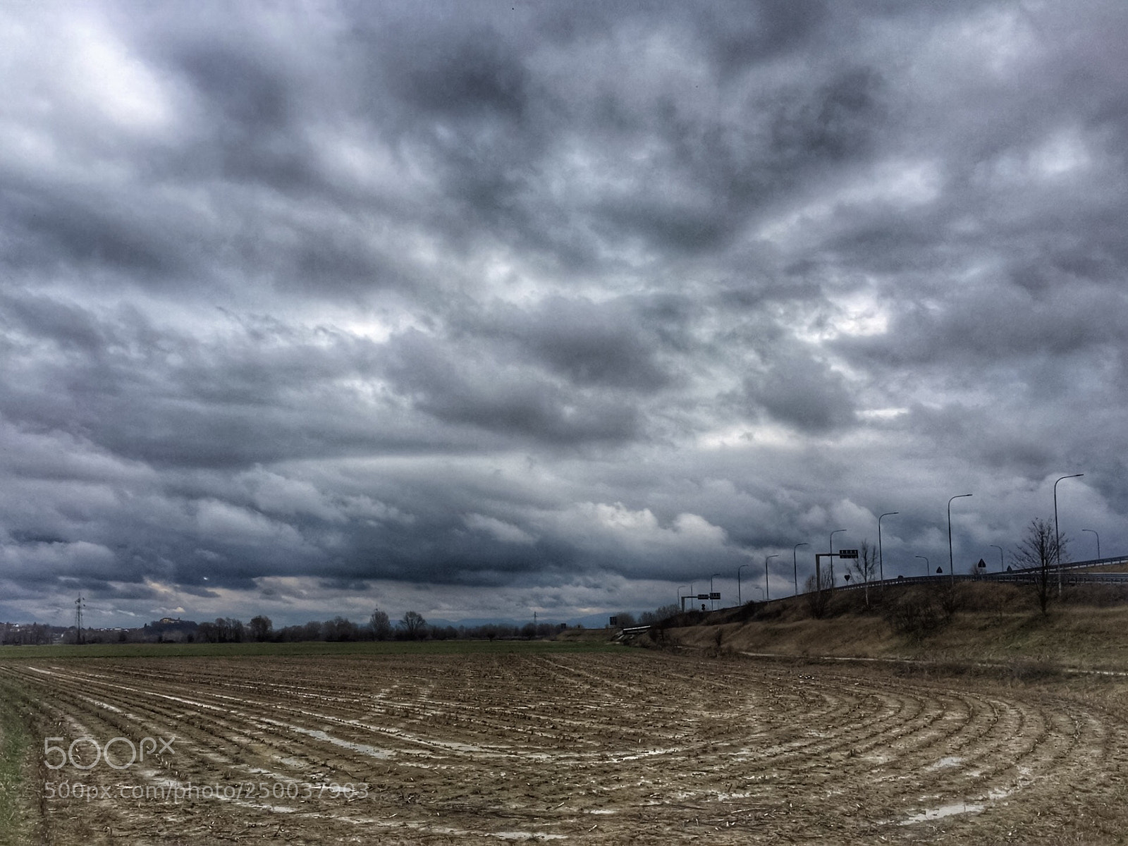 Apple iPhone 6s sample photo. ☔️☔️☔️☔️ photography