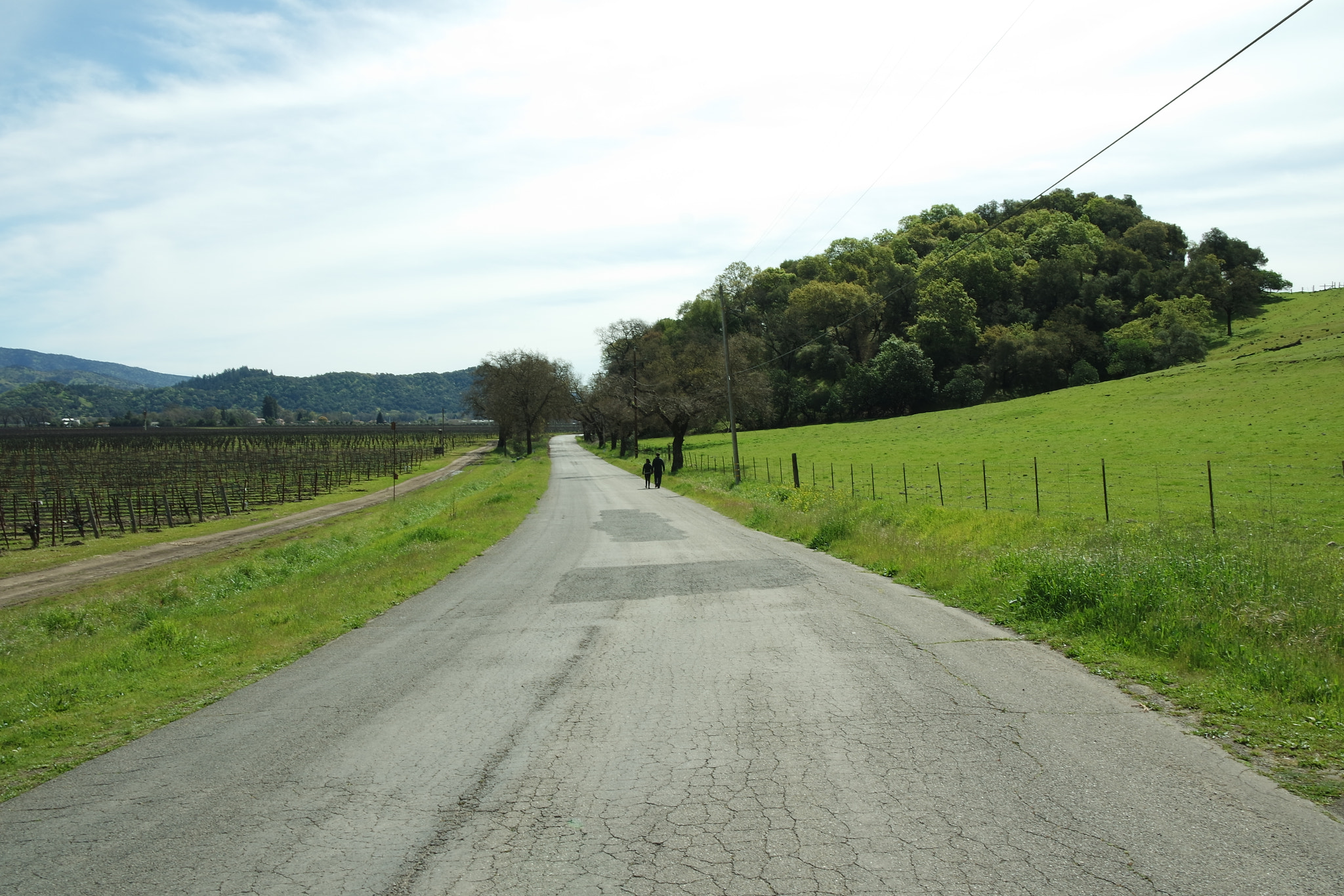 Samsung NX3300 sample photo. Country road photography