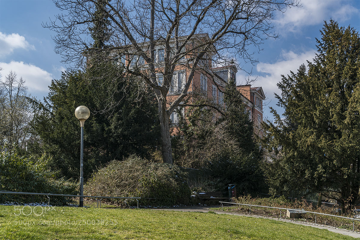 Sony a7R II sample photo. Reutlingen 200318-002 photography