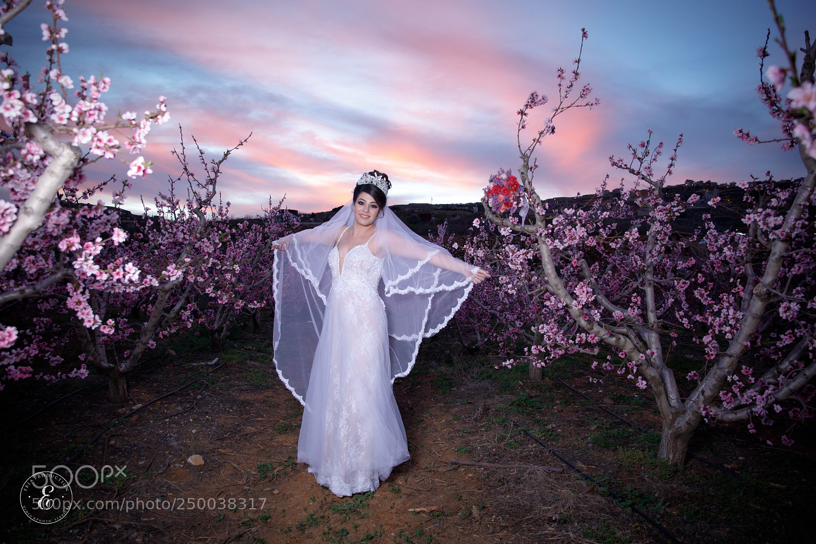 Canon EOS 5D Mark IV sample photo. Untitled photography