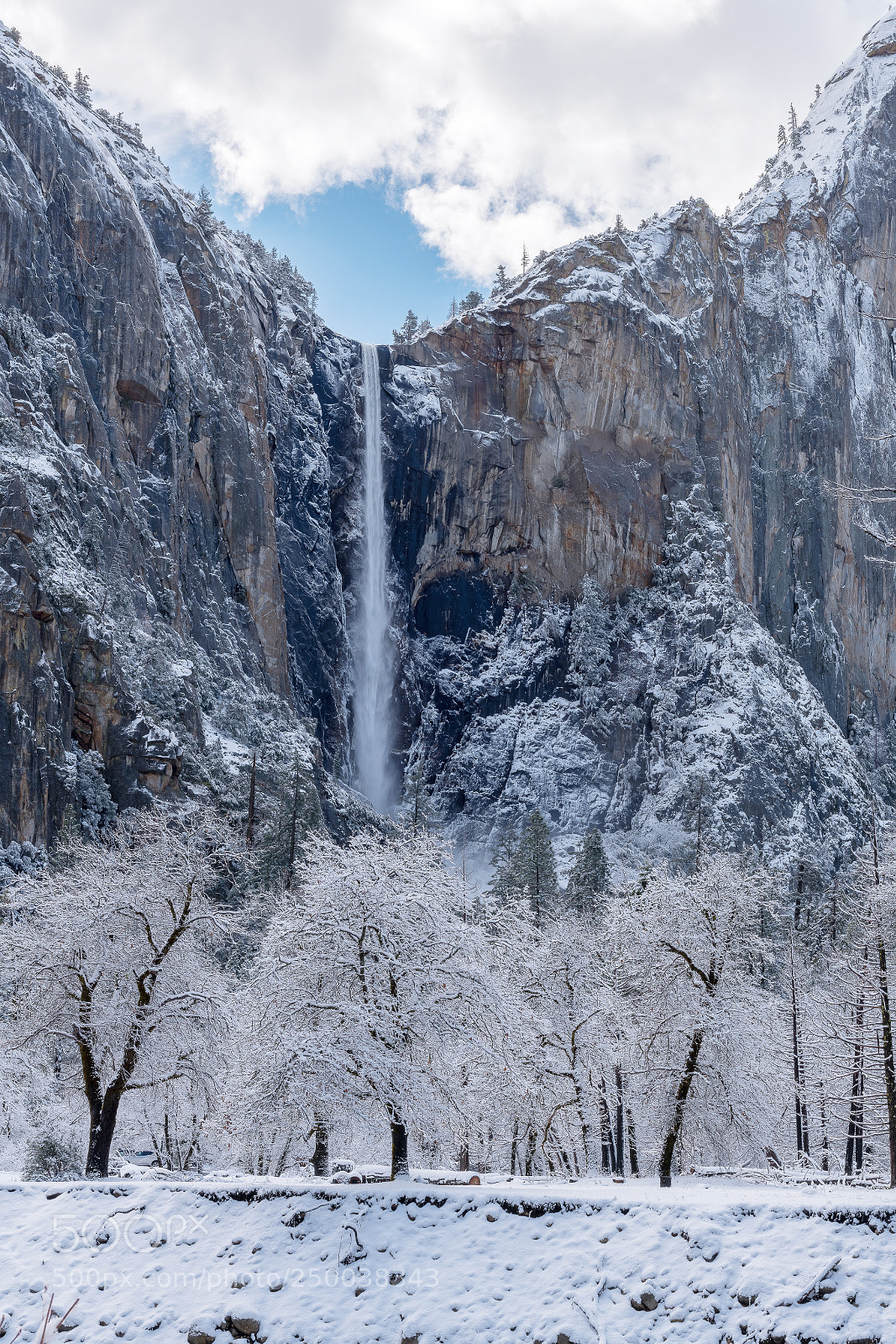 Nikon D850 sample photo. Yosemite national park, ca photography