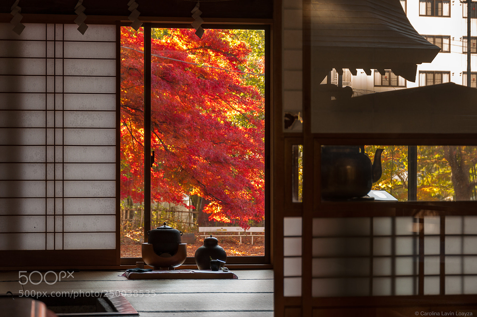 Nikon D90 sample photo. Vista interior photography
