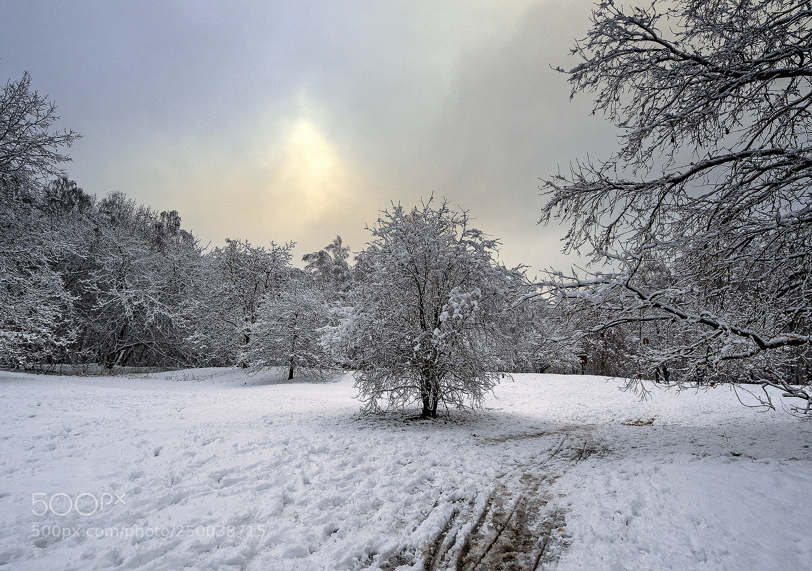 Olympus OM-D E-M5 II sample photo. Winter dusk #2 photography
