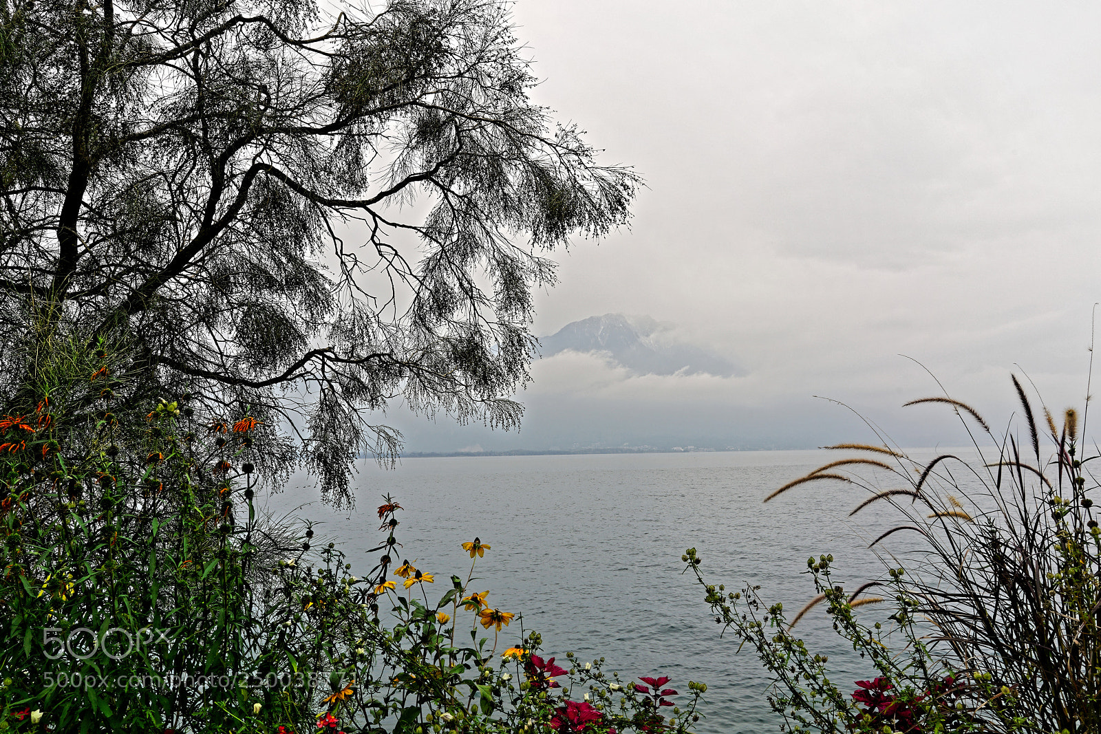 Sony a7R II sample photo. Montreux, suisse photography
