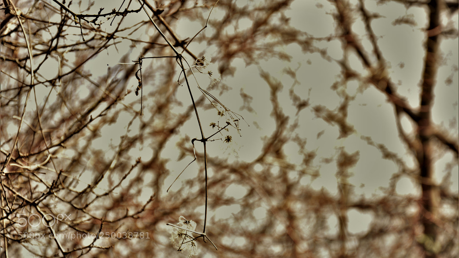 Nikon D3200 sample photo. Untitled photography