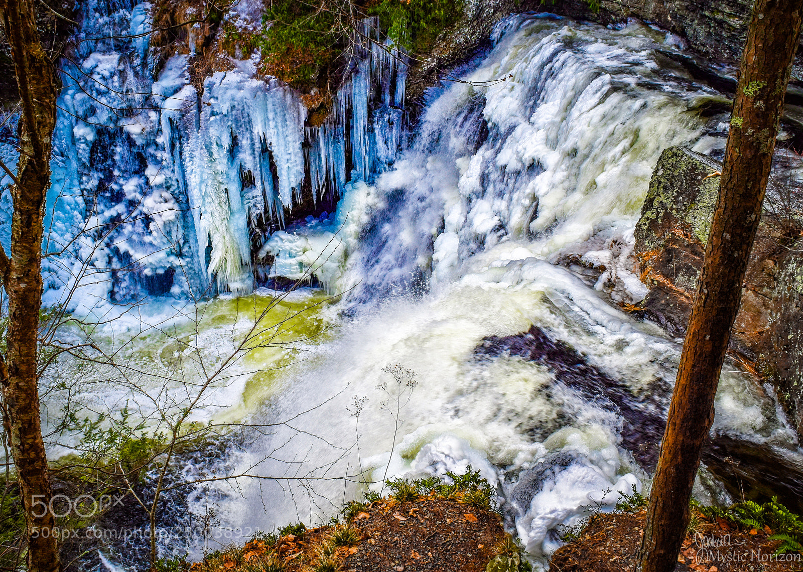 Nikon D5500 sample photo. Let it go photography