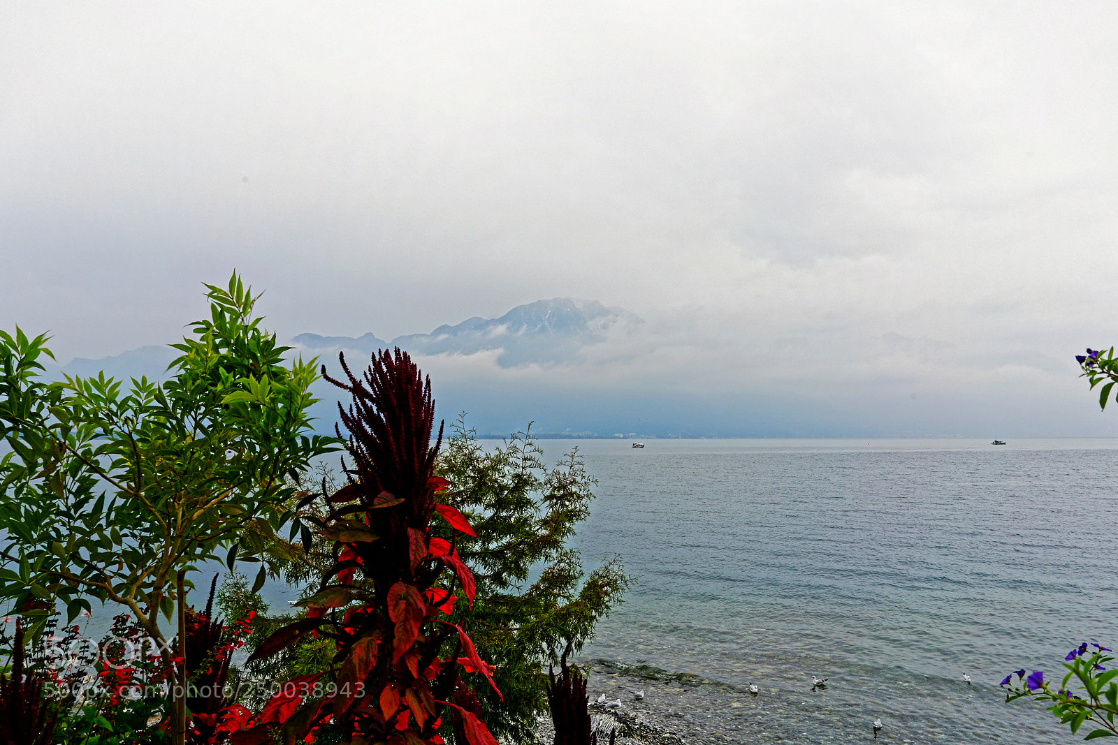 Sony a7R II sample photo. Montreux, suisse photography