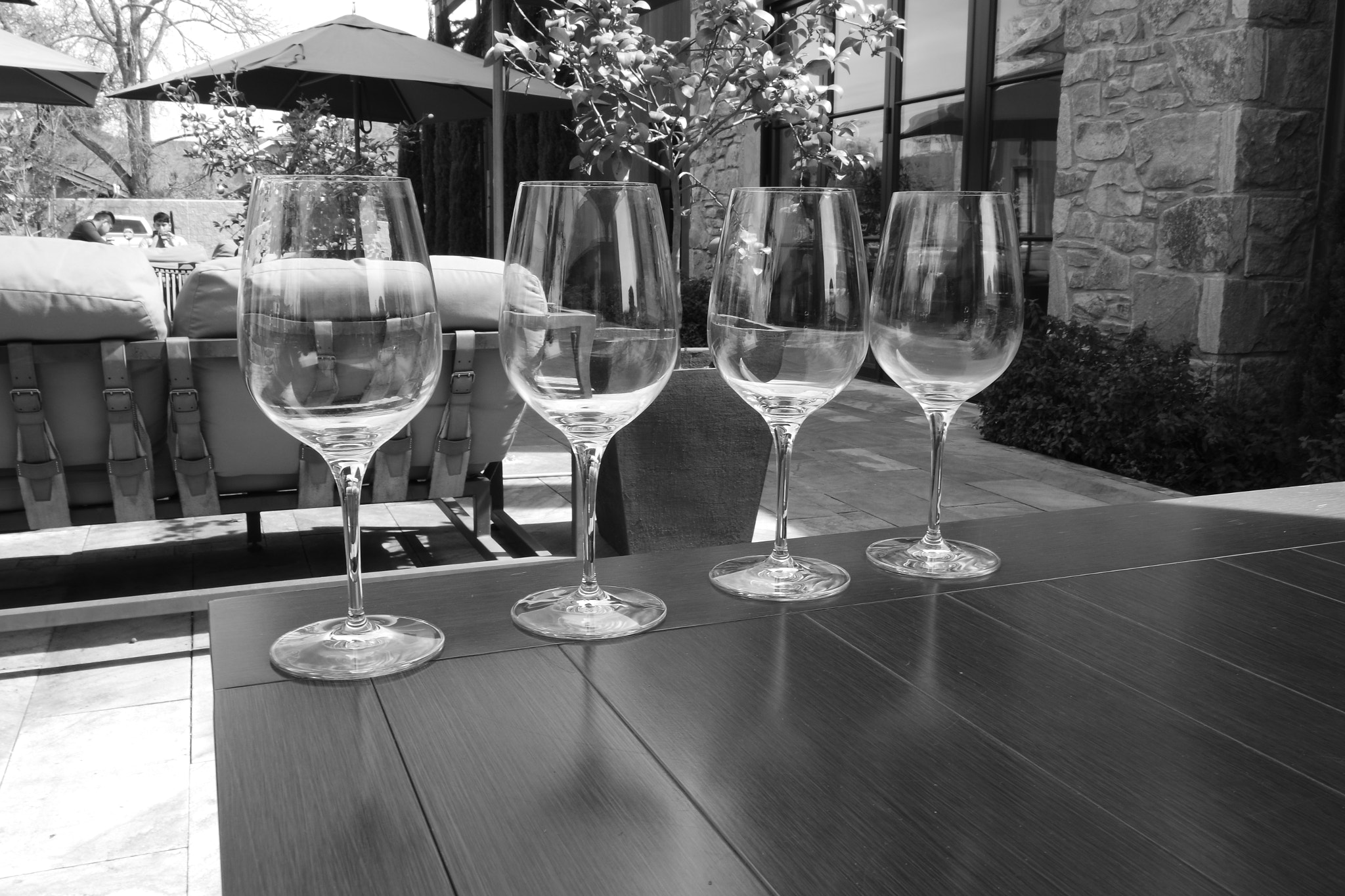 Samsung NX3300 sample photo. 4 wine glasses photography