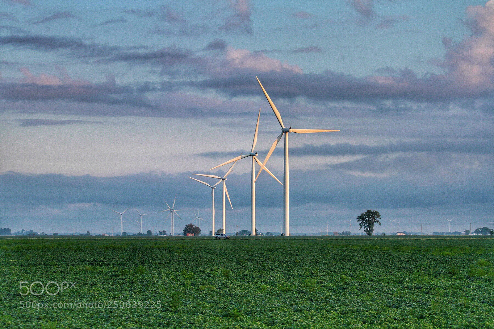 Canon EOS 7D sample photo. Farmland photography