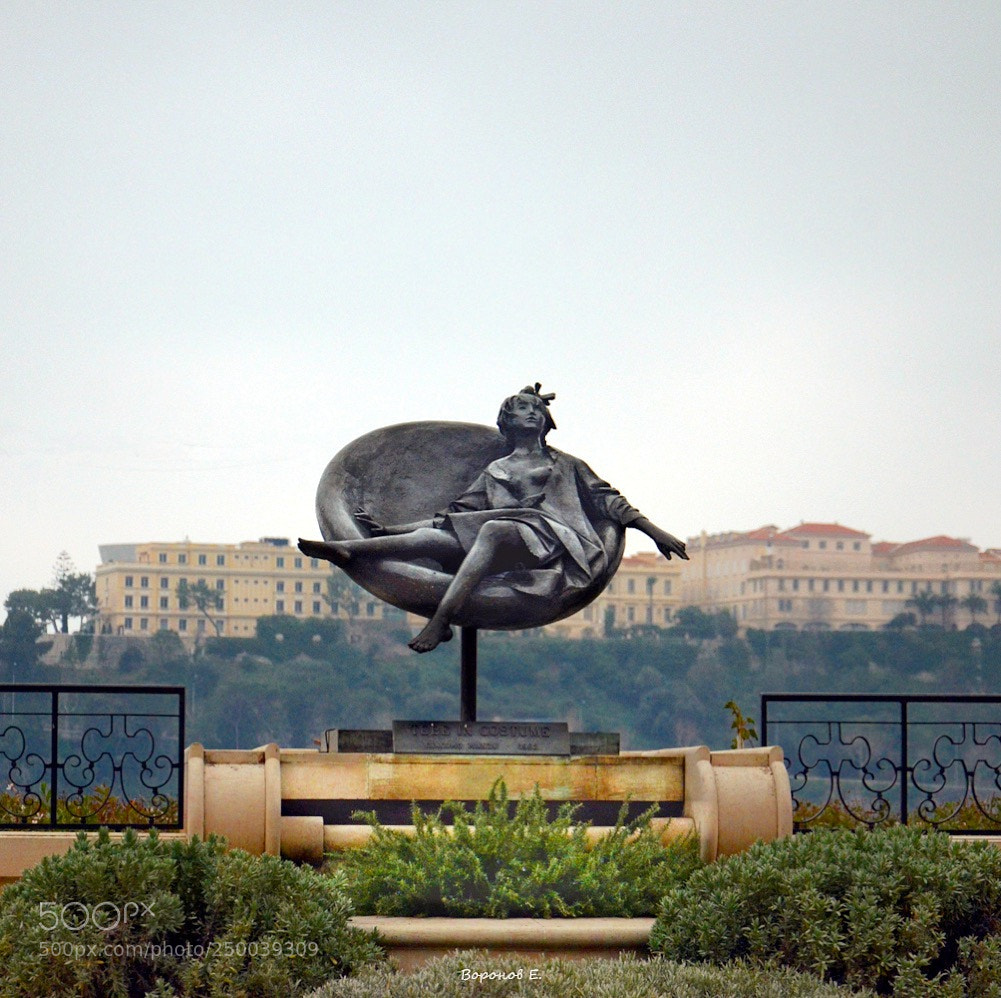 Nikon D7000 sample photo. Untitled photography