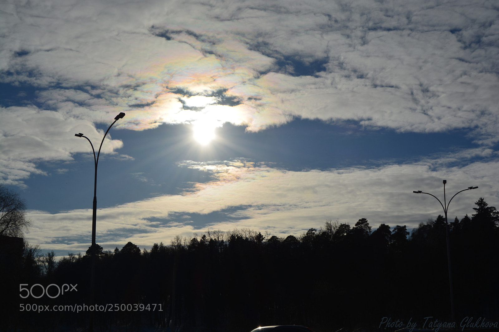 Nikon D5200 sample photo. Untitled photography