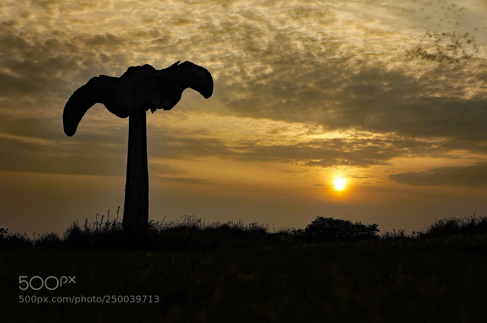 Sony Alpha NEX-5N sample photo. Whalebone, birsay, orkney photography