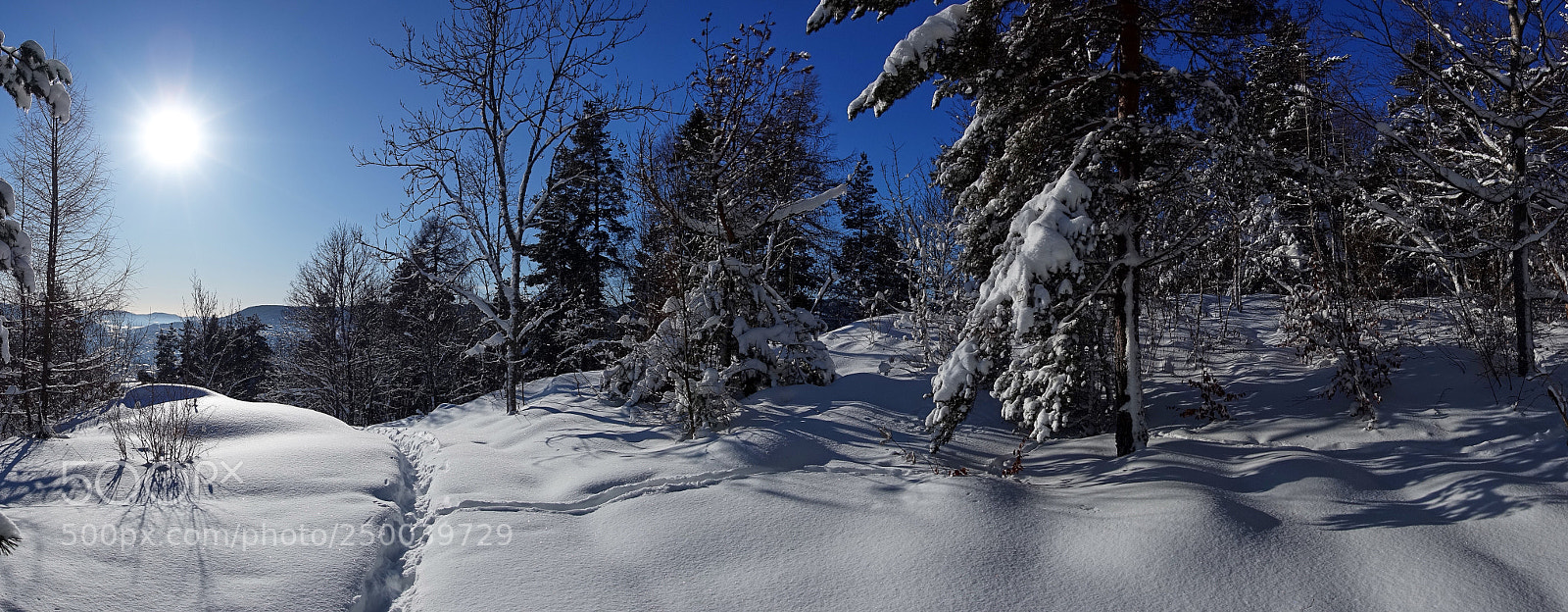 Sony Cyber-shot DSC-RX100 IV sample photo. Clear winterscape photography