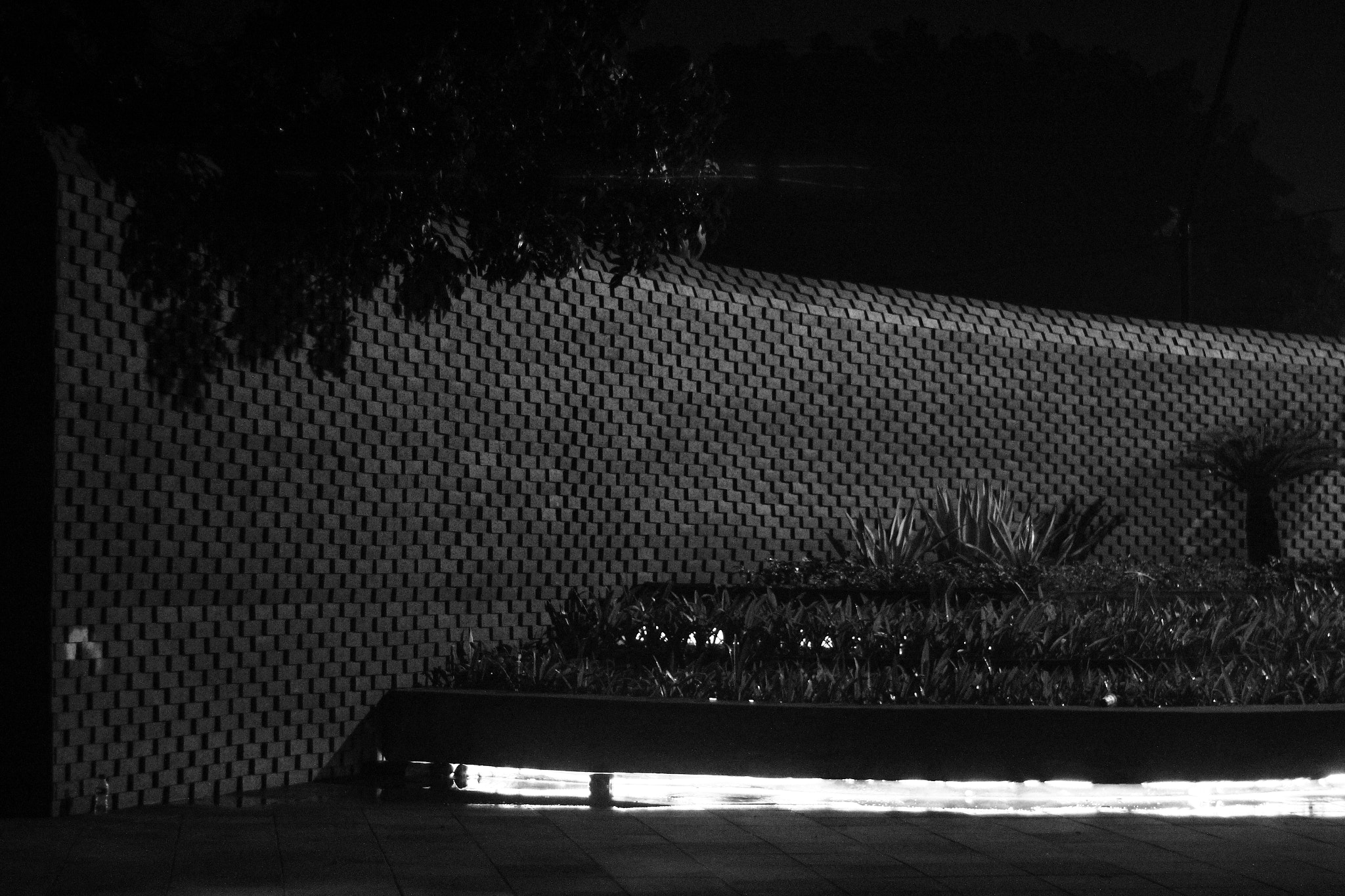 Canon 50mm sample photo. Night life photography