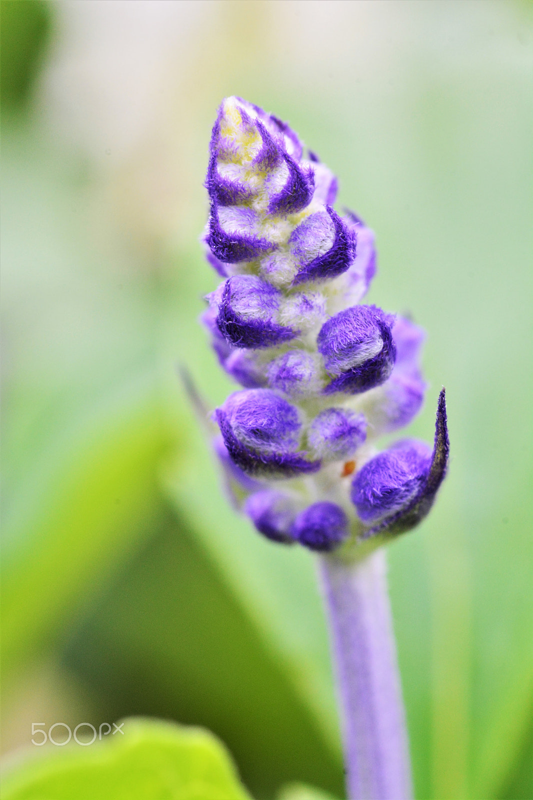 Nikon D7100 sample photo. Unknown 1 photography