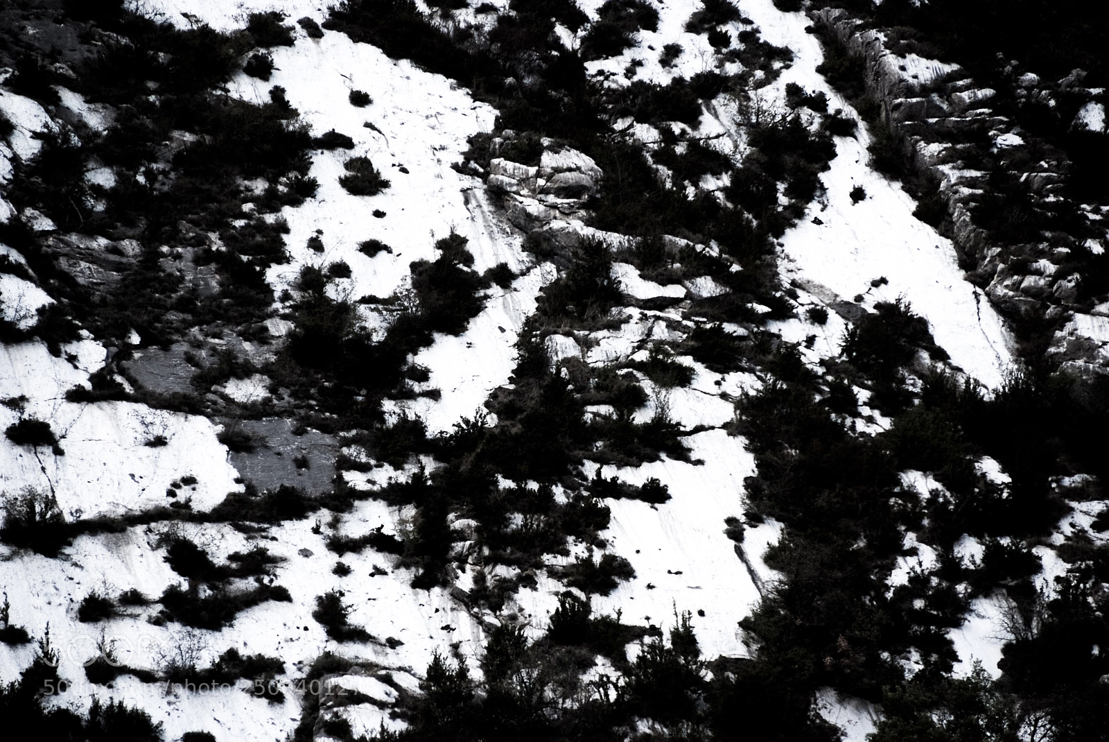 Fujifilm FinePix S5 Pro sample photo. Black and white  photography